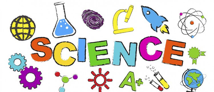 Grade 8 Science Year Overview